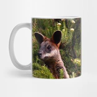 Curious Kangaroo Mug